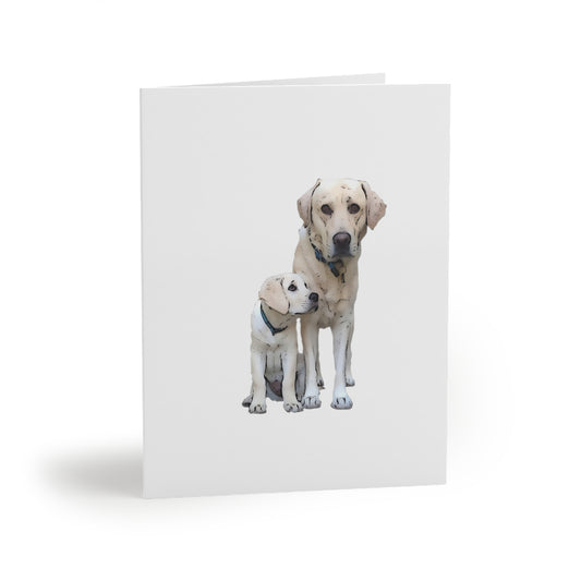 Dog & Pup Greeting cards (8 or 16)