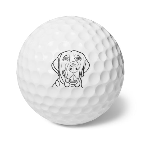 Barky Wagmore Golf Balls, 6pcs