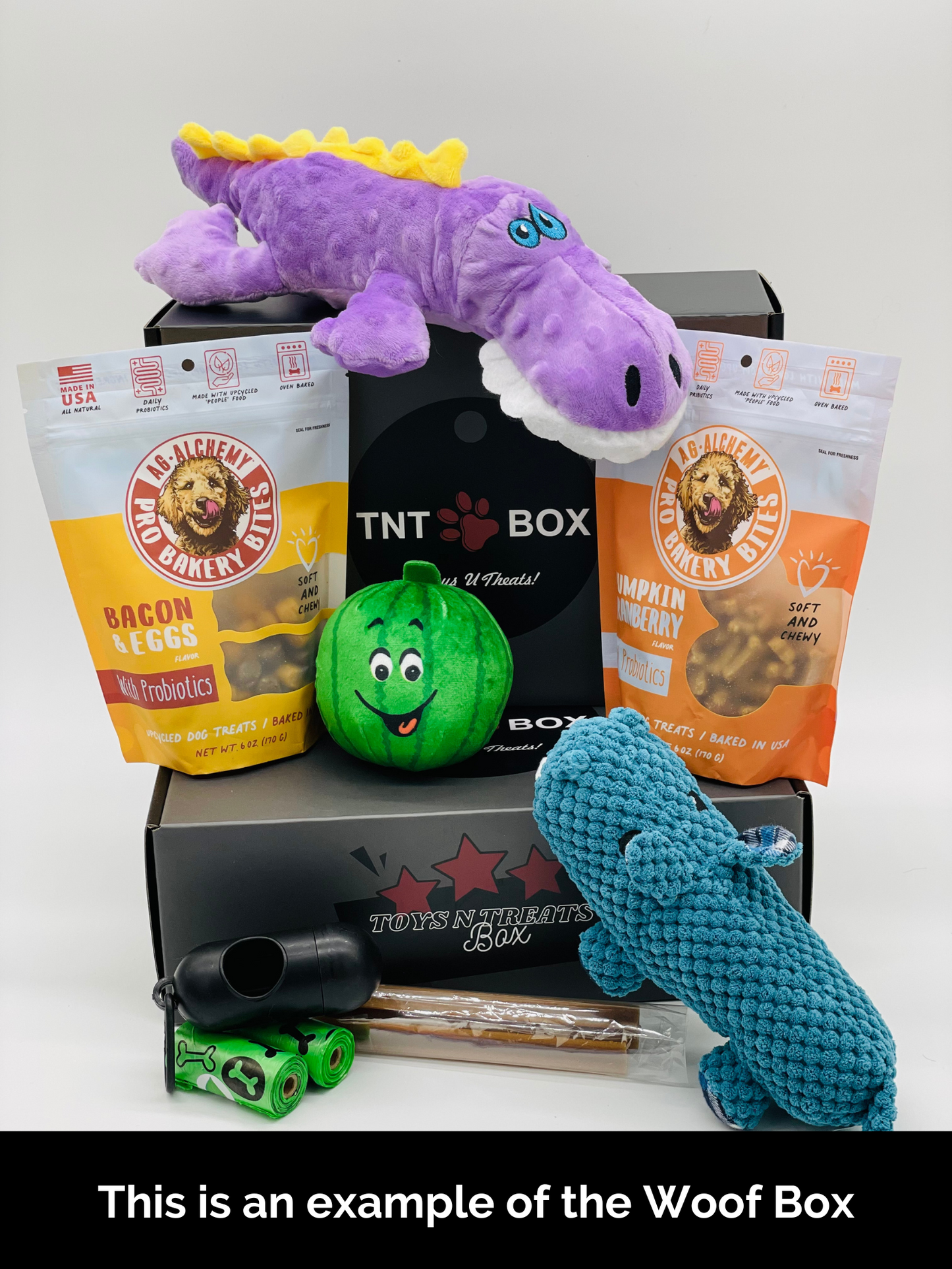 Toys N Treats Gift Boxes-2