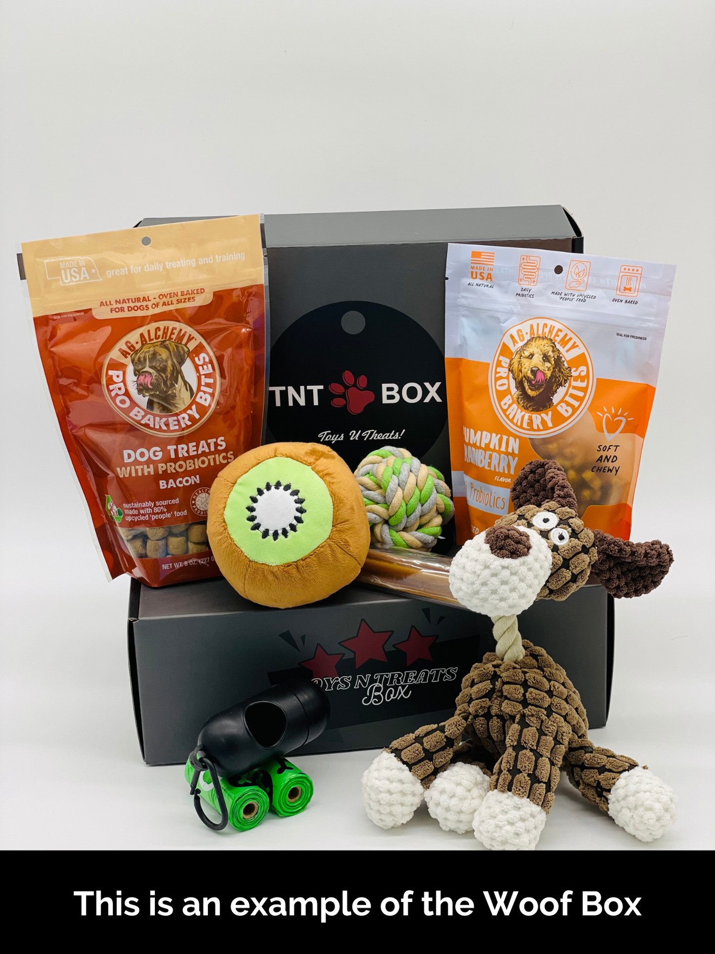 Toys N Treats Gift Boxes-8