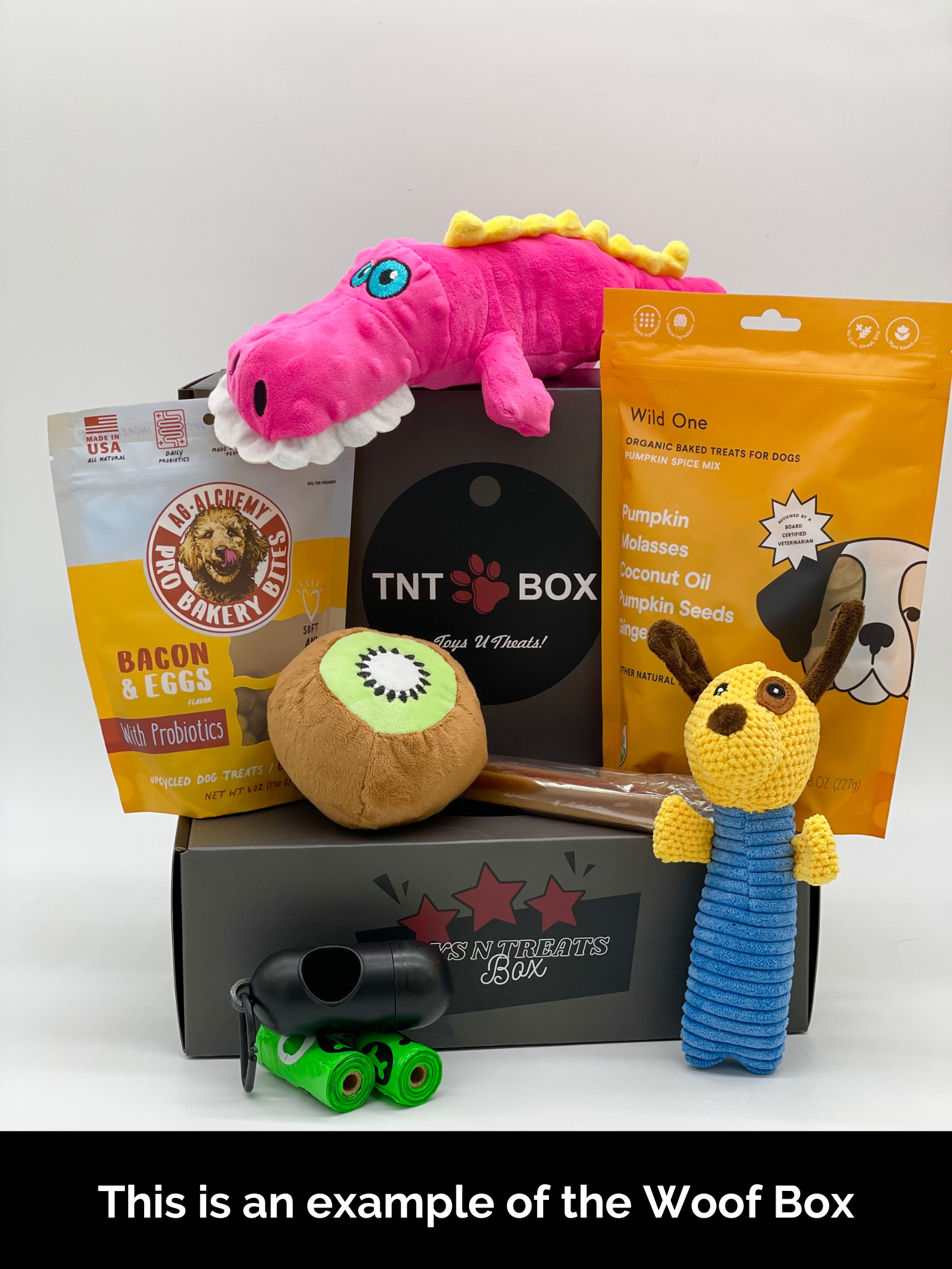 Toys N Treats Gift Boxes-6