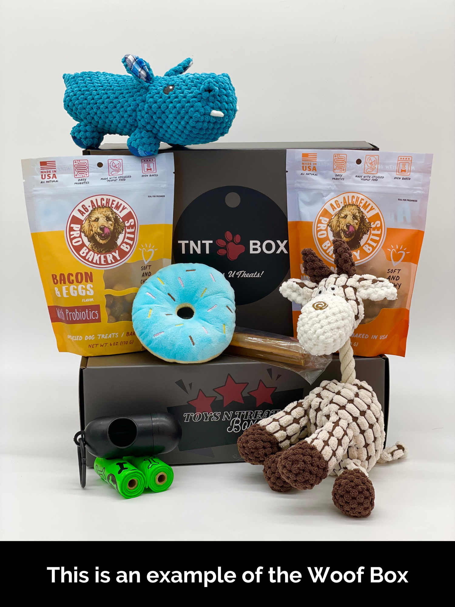 Toys N Treats Gift Boxes-4