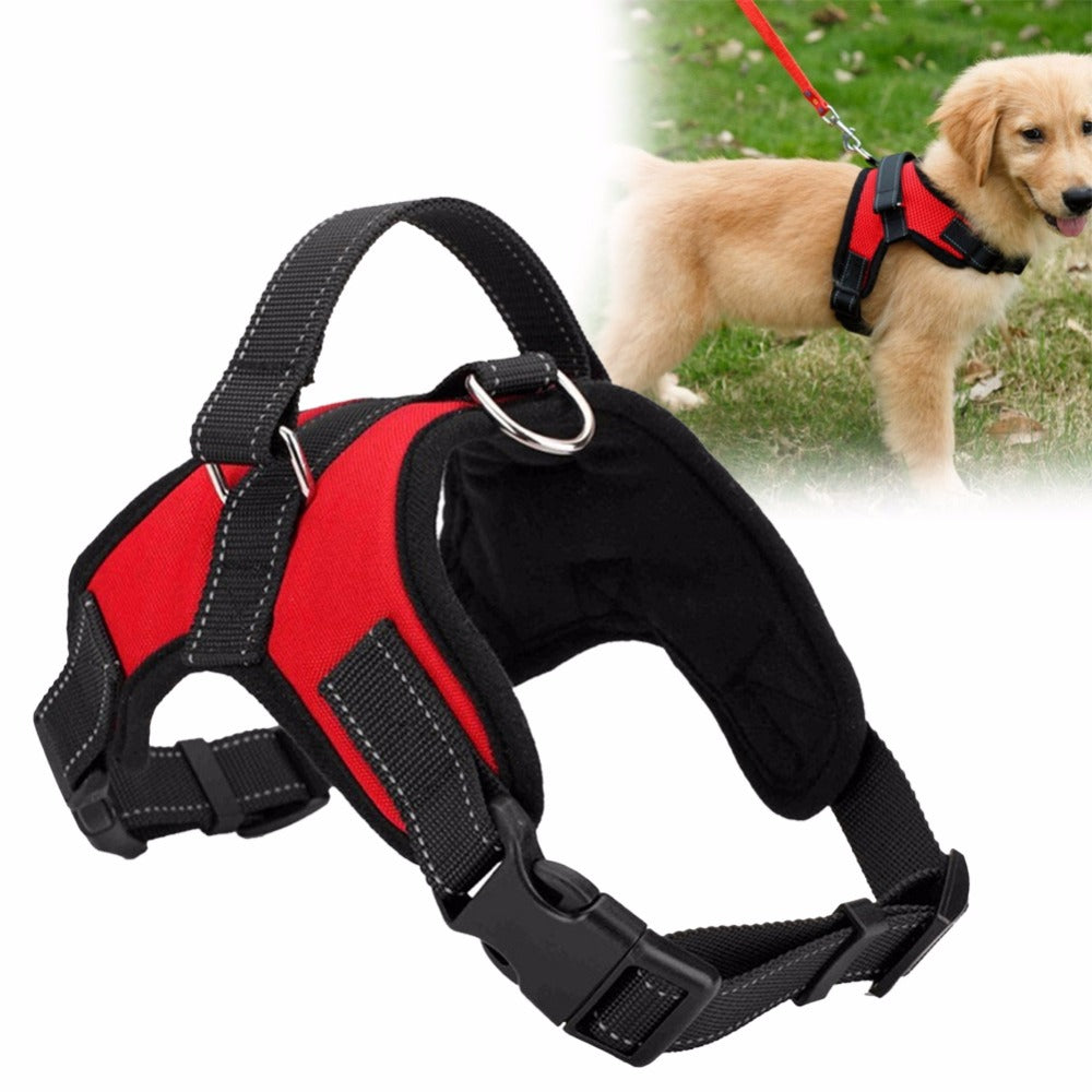 Adjustable Pet Harness-4
