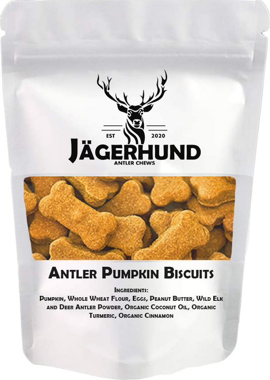 Antler Pumpkin Biscuits-0