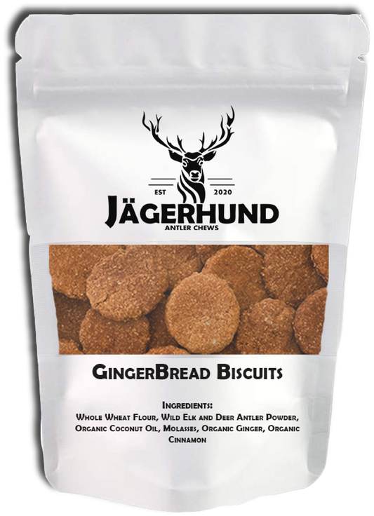 Gingerbread Biscuits-0