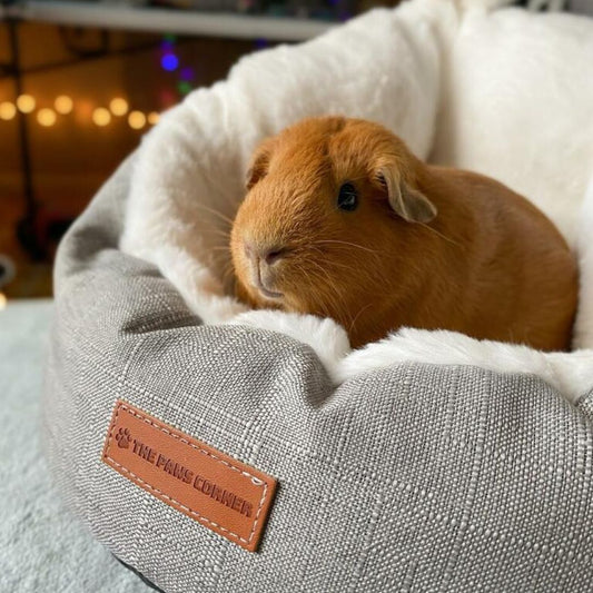 Pet Bed Sleeping Bag (Small)-0