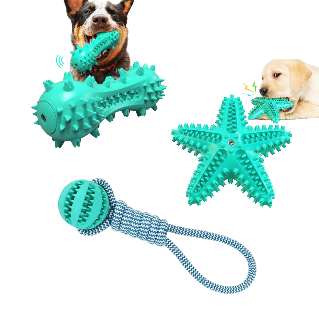 3 Pack Squeaky Toothbrush & Cotton Rope Ball Dog Toys-0